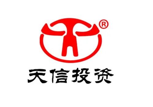 福建天信投資咨詢顧問 專業(yè)服務助力投資決策